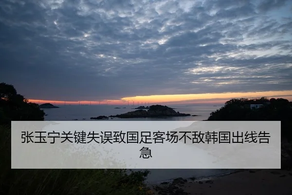 张玉宁关键失误致国足客场不敌韩国出线告急