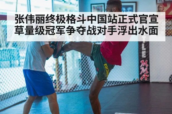 MMA training